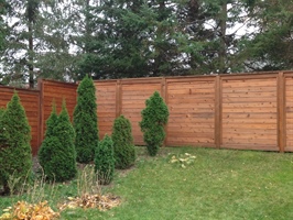 Wood Fence Maintenance in Minnesota: Tips to Protect and Preserve